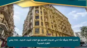تحديد 250 جنيهًا حدًا أدنى للإيجار القديم مع إلغاء تثبيت الأجرة.. ماذا يعني القرار الجديد؟